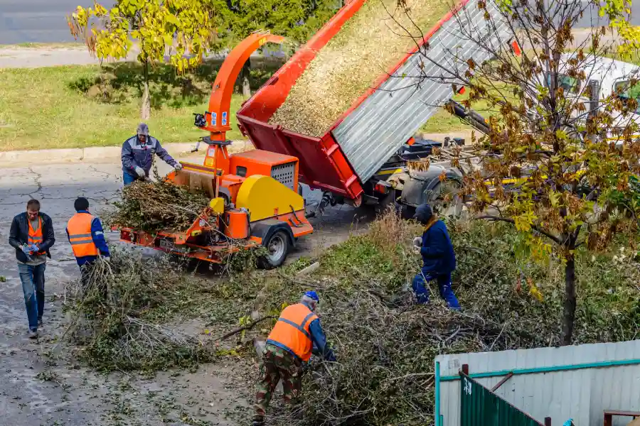 Common Reasons to Schedule Expert Tree Service in Brunswick, GA Common Reasons to Schedule Expert Tree Service in Brunswick, GA