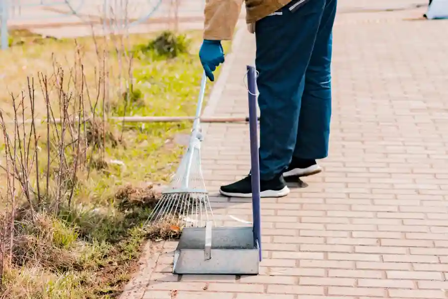 How to Know When It’s Time for a Professional Yard Cleanup Brunswick, GA