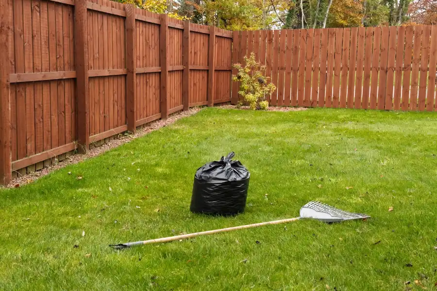 Outstanding Yard Cleanup in Brunswick, GA Outstanding Yard Cleanup in Brunswick, GA